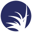 DGW_Icon_Blau