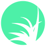 DGW_Icon_Gruen